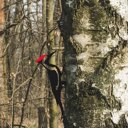 Δωμάτια σε οικογενειακή κατοικία Nad Jeziorem Strykowskim *