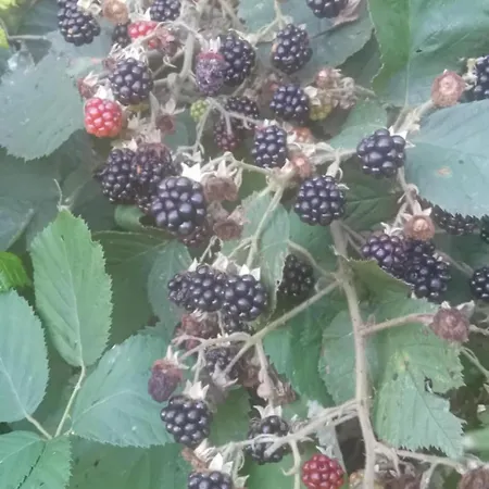 Nad Jeziorem Strykowskim Δωμάτια σε οικογενειακή κατοικία