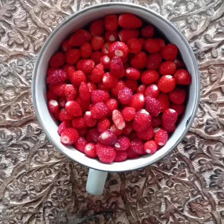 Nad Jeziorem Strykowskim