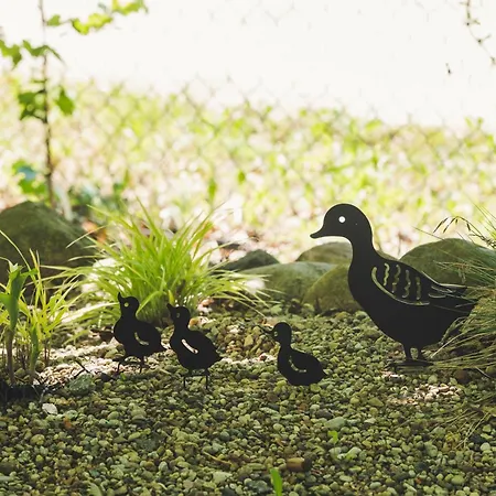 Nad Jeziorem Strykowskim Δωμάτια σε οικογενειακή κατοικία