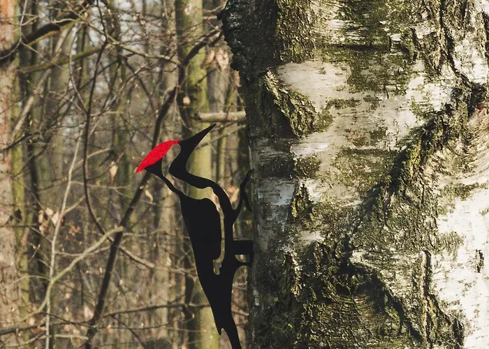 民宿 Nad Jeziorem Strykowskim *