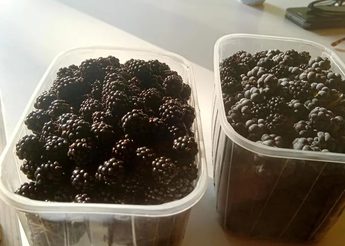 民宿 Nad Jeziorem Strykowskim *