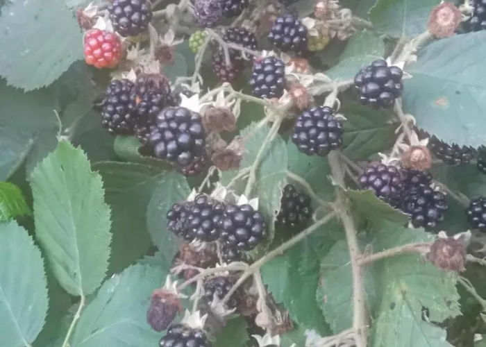 Nad Jeziorem Strykowskim 民宿