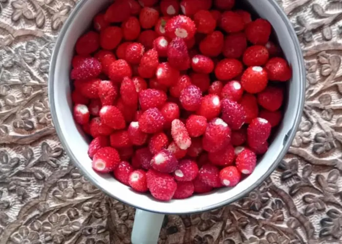 Nad Jeziorem Strykowskim